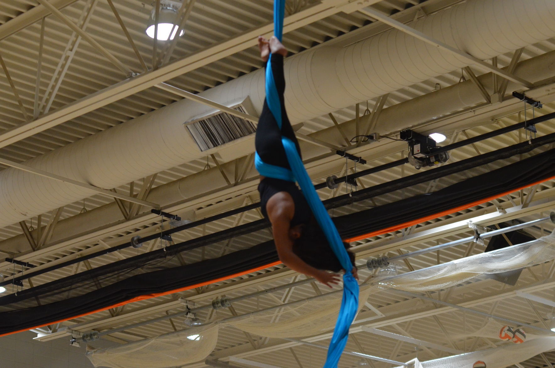 Williams Bay Aerial Acrobats